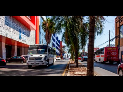 <a href="/noticias/inicia-morelos-proceso-de-certificacion-2020-operadores-del-transporte-publico">Inicia Morelos proceso de Certificación 2020 a Operadores del Transporte Público.</a>